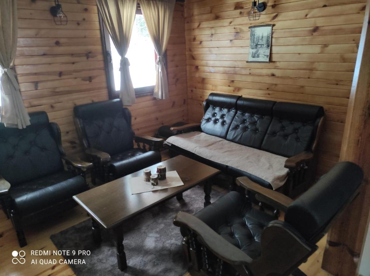 Vila Tijana Митровац Экстерьер фото